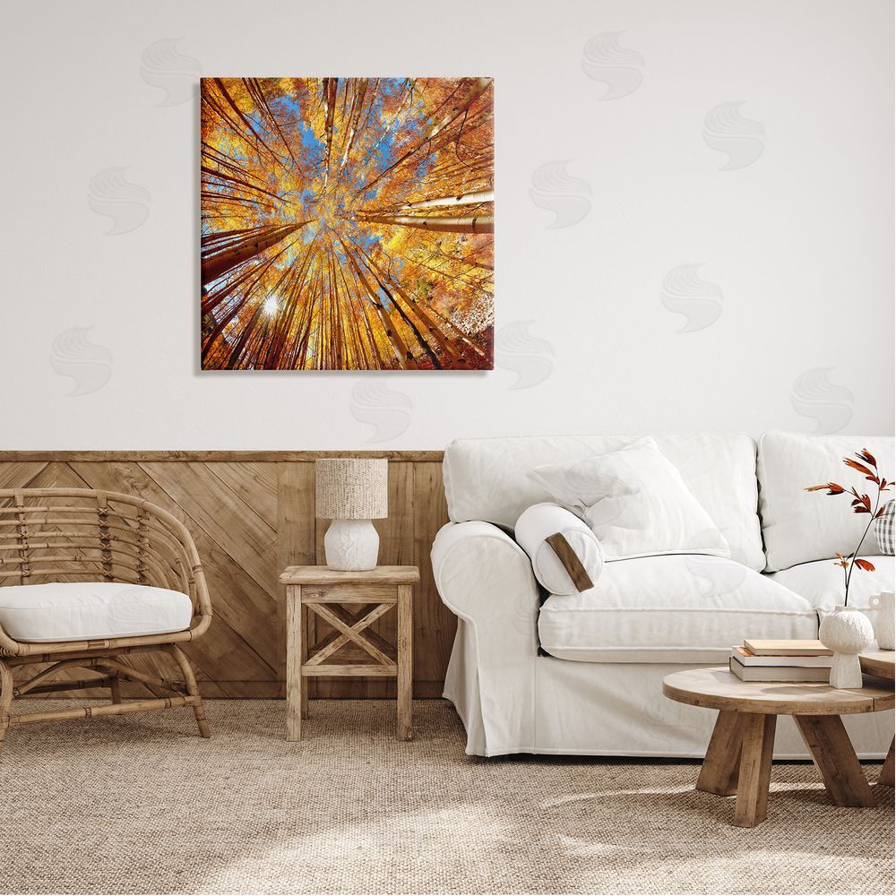 Lena Owens Colorado Autumn Trees Canvas Wall Art in Room