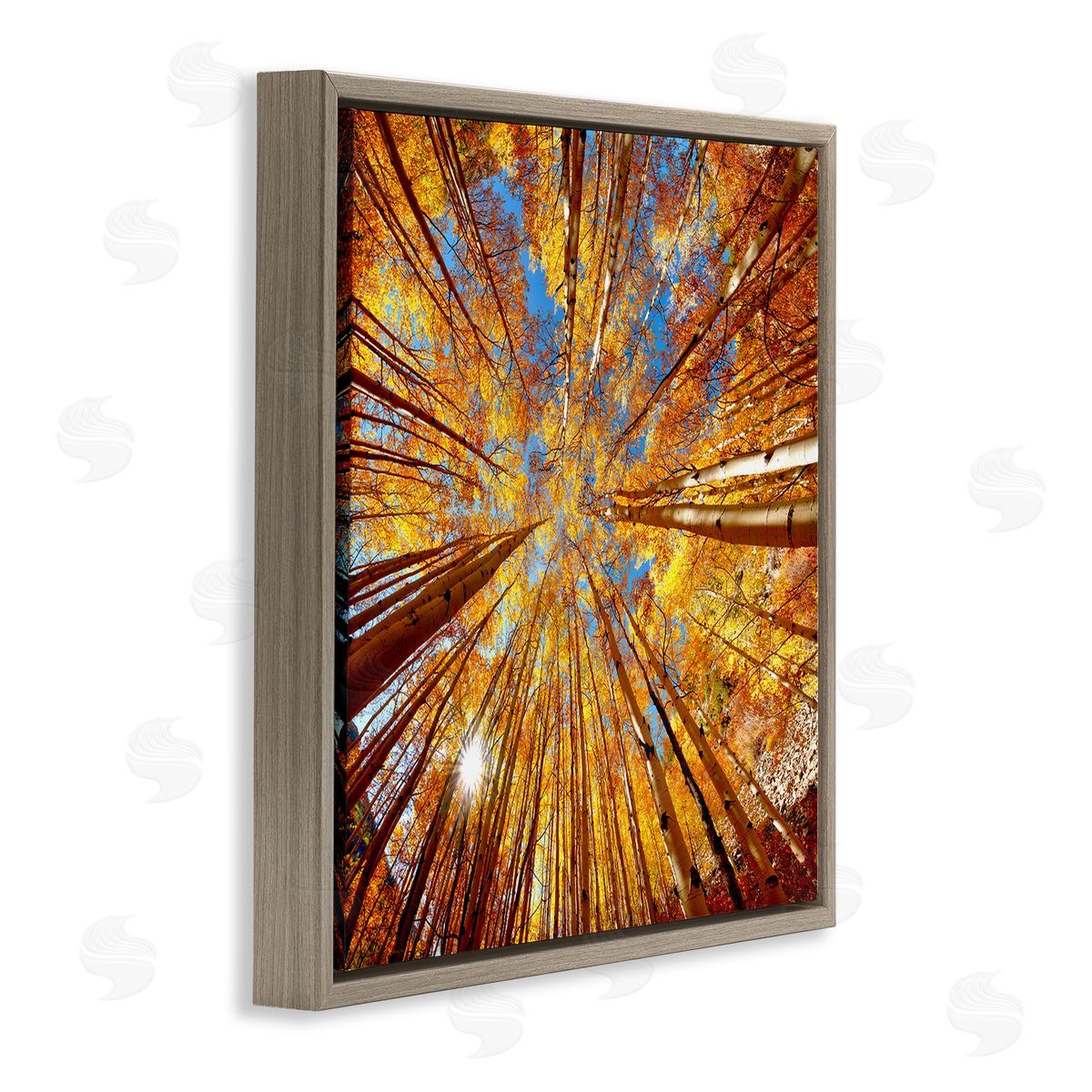 Lena Owens Colorado Autumn Trees Brown Floating Frame Canvas Wall Art Print
