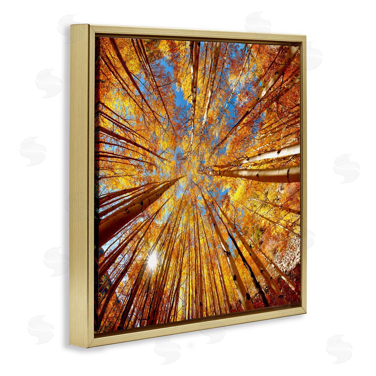 Lena Owens Colorado Autumn Trees Gold Floating Frame Canvas Wall Art Print
