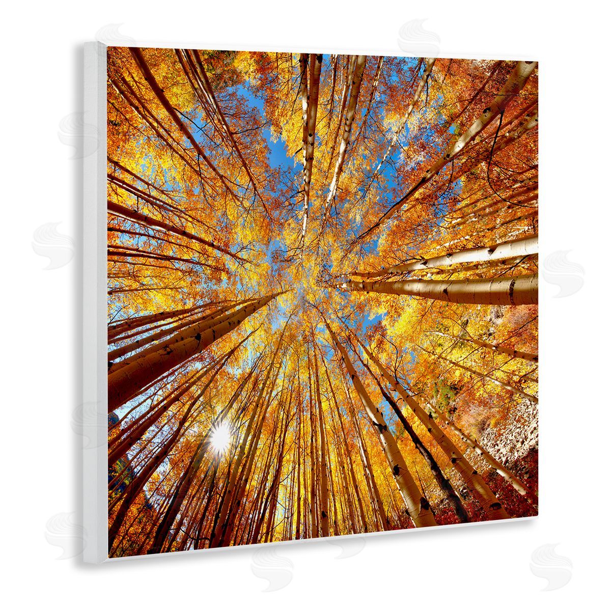 Lena Owens Colorado Autumn Trees Wooden Wall Plaque Art Print