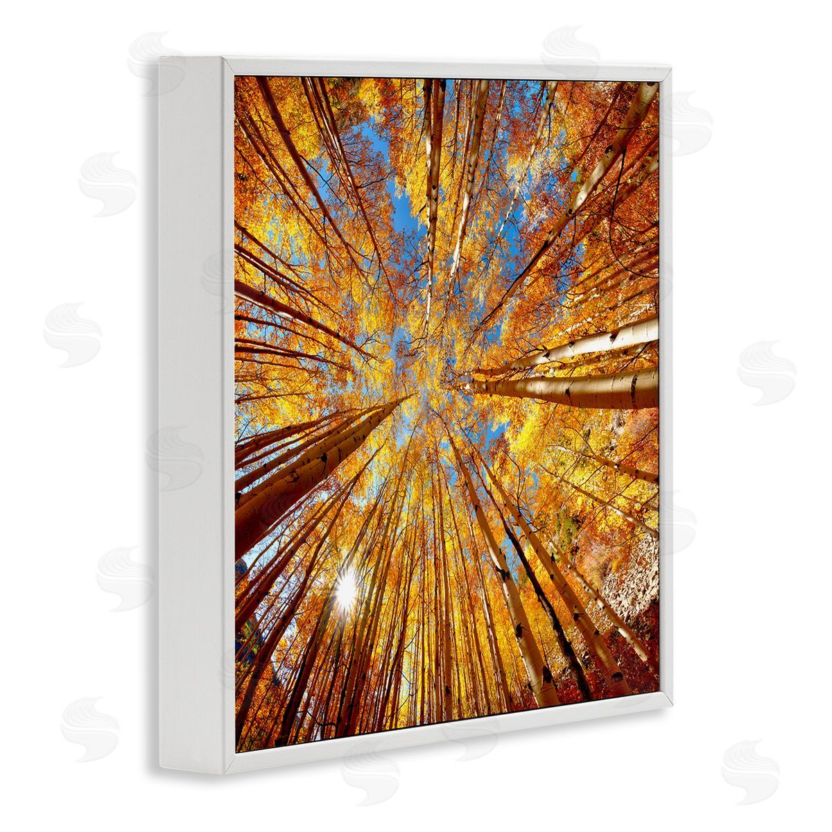Lena Owens Colorado Autumn Trees White Framed Glicee Wall Art Print