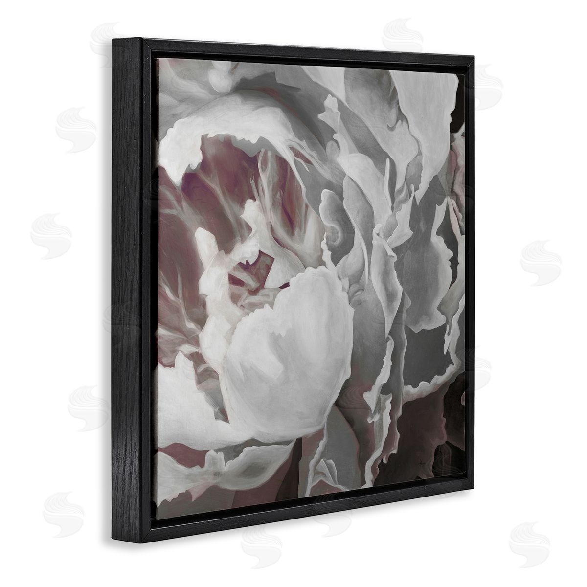 KC Haxton Close Up Peony Blossom Black Floating Frame Canvas Wall Art Print