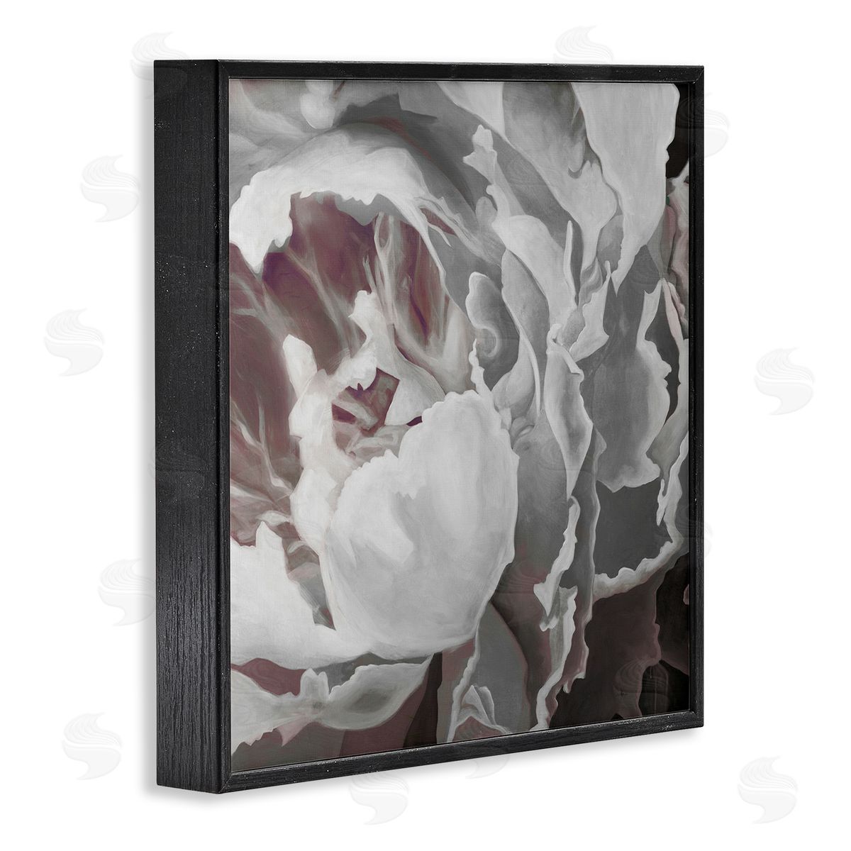 KC Haxton Close Up Peony Blossom Black Framed Glicee Wall Art Print