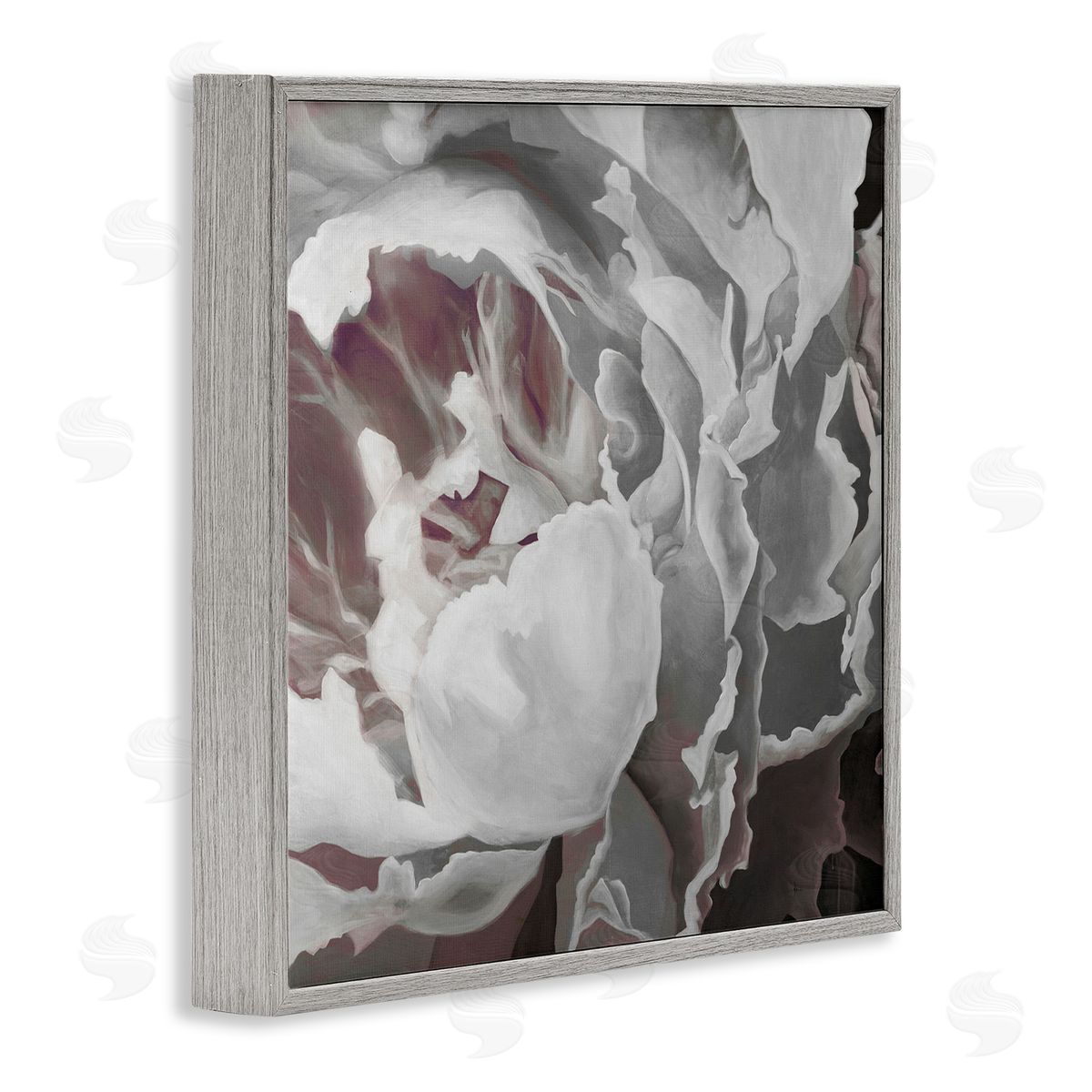 KC Haxton Close Up Peony Blossom Gray Framed Glicee Wall Art Print