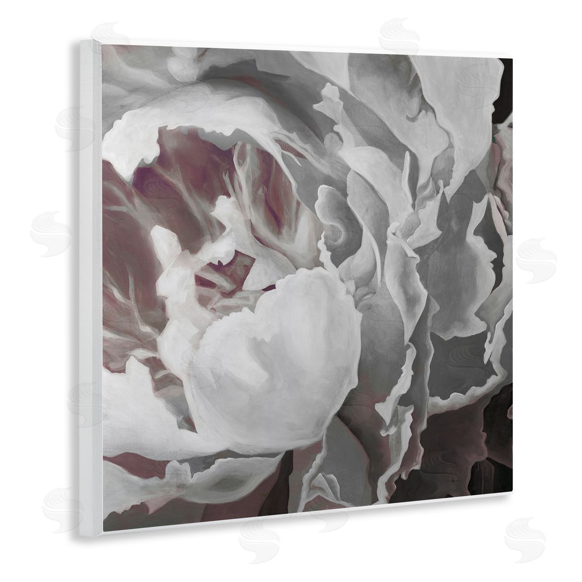 KC Haxton Close Up Peony Blossom Wooden Wall Plaque Art Print