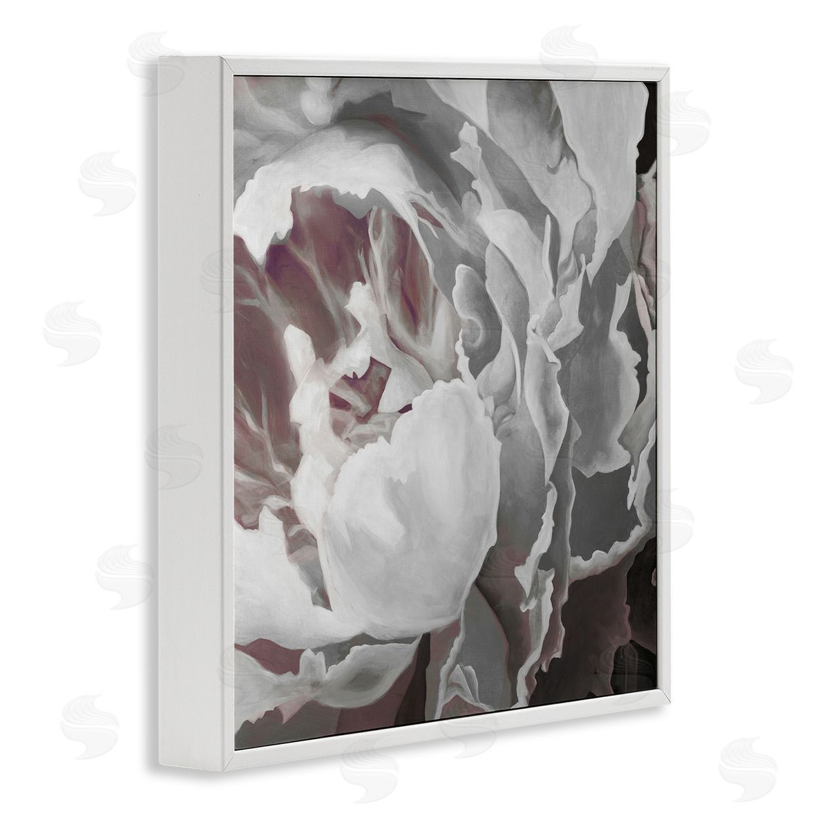 KC Haxton Close Up Peony Blossom White Framed Glicee Wall Art Print