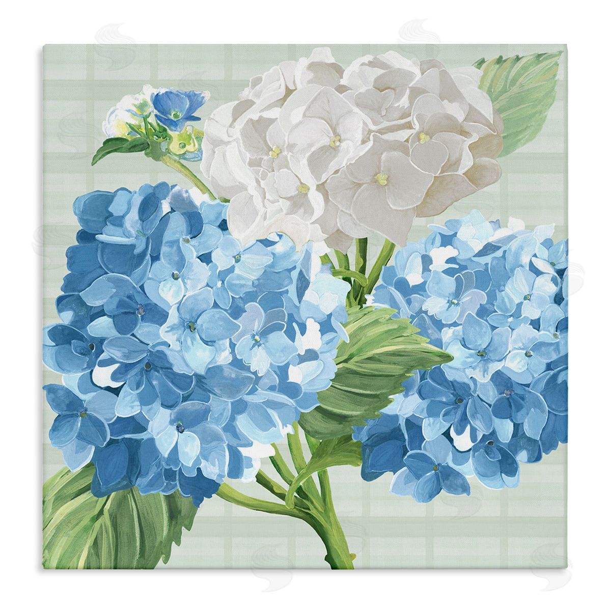 Erica Christopher Hydrangeas on Plaid Stretched Canvas Wall Art Print
