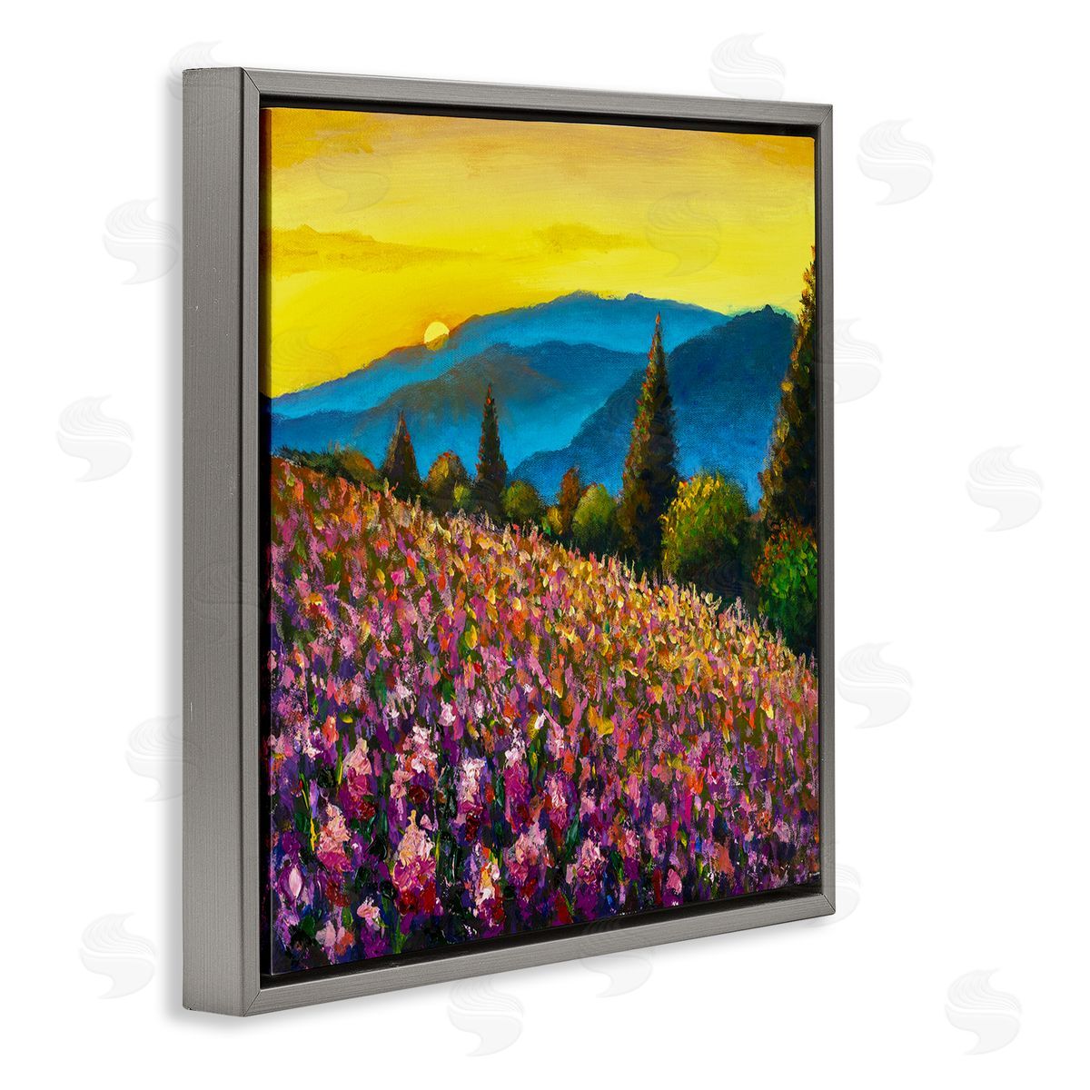 Valery Rybakow Vivid Mountain Meadow Scenery Gray Floating Frame Canvas Wall Art Print