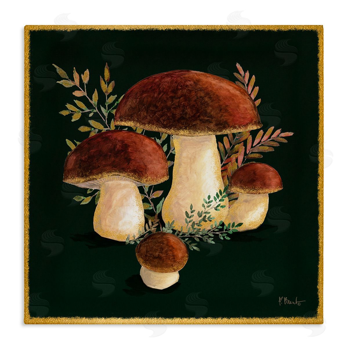 Paul Brent Mushrooms on Black Stretched Canvas Wall Art Print