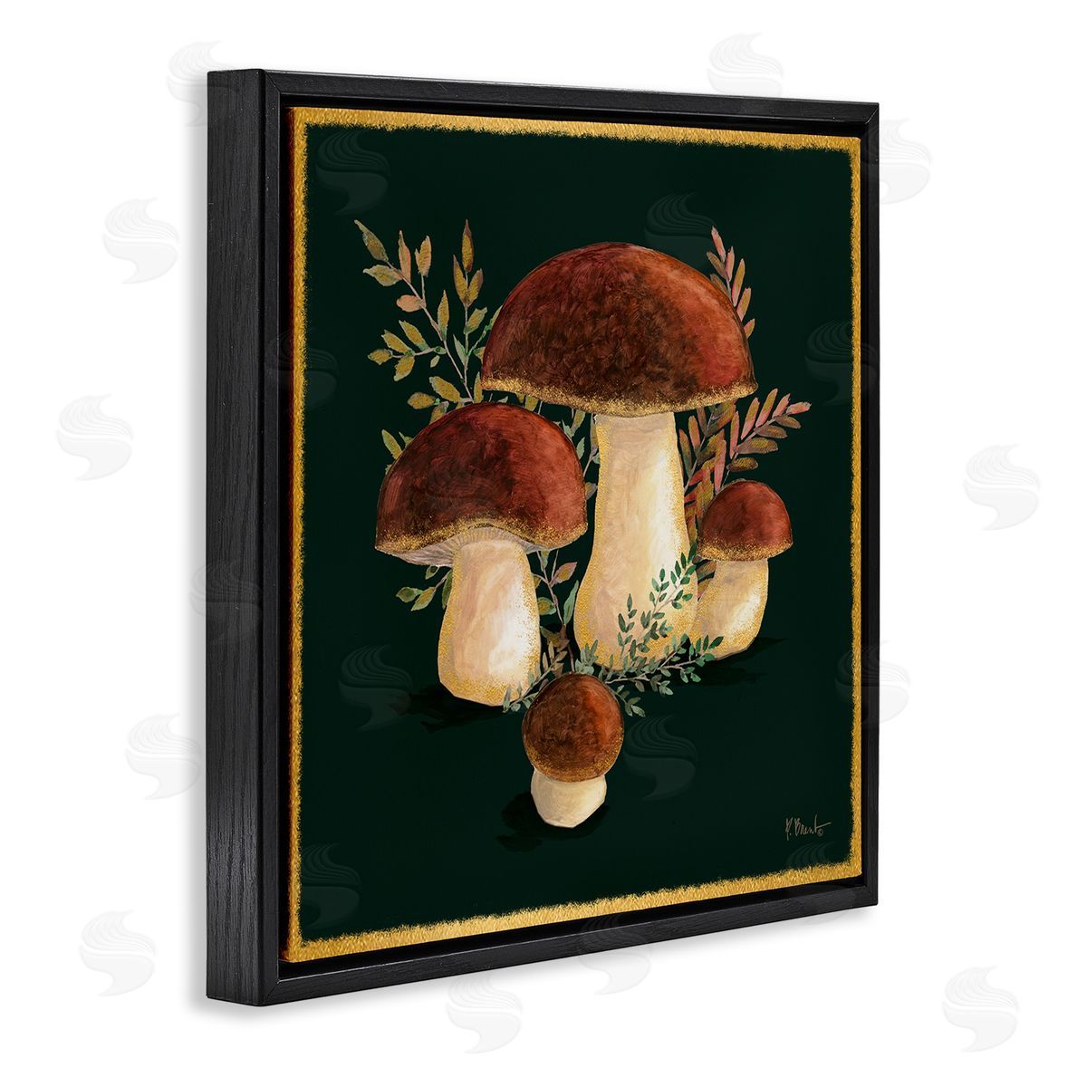 Paul Brent Mushrooms on Black Black Floating Frame Canvas Wall Art Print