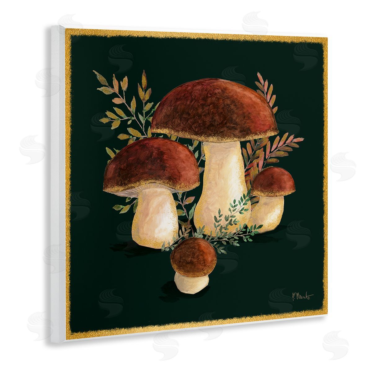 Paul Brent Mushrooms on Black Wooden Wall Plaque Art Print