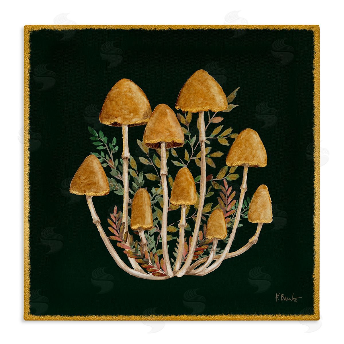 Paul Brent Mushrooms & Leaves Nature Stretched Canvas Wall Art Print