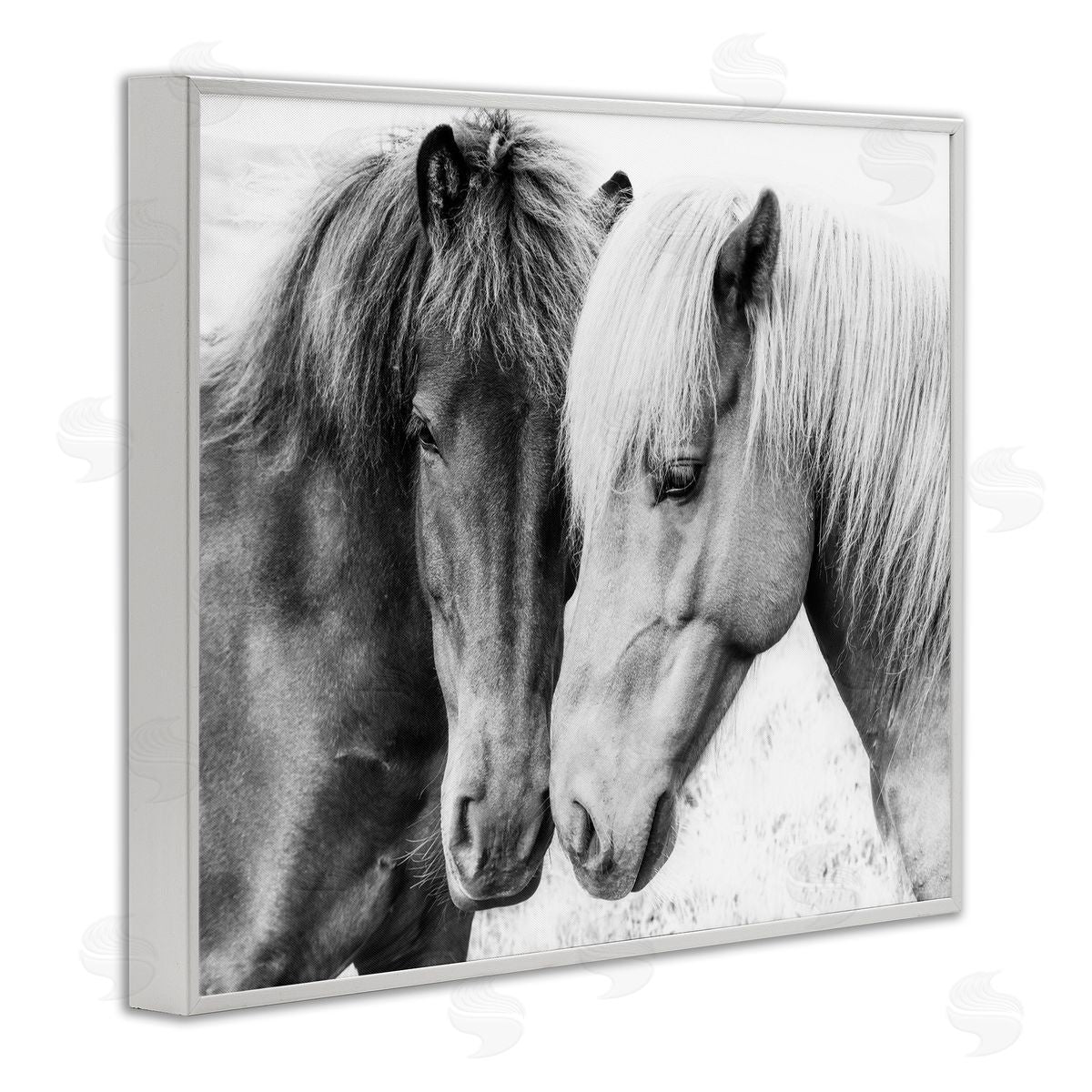 Horse Love Duo Portrait White Frame Print Wall Art, Home Decor by Sisi and Seb