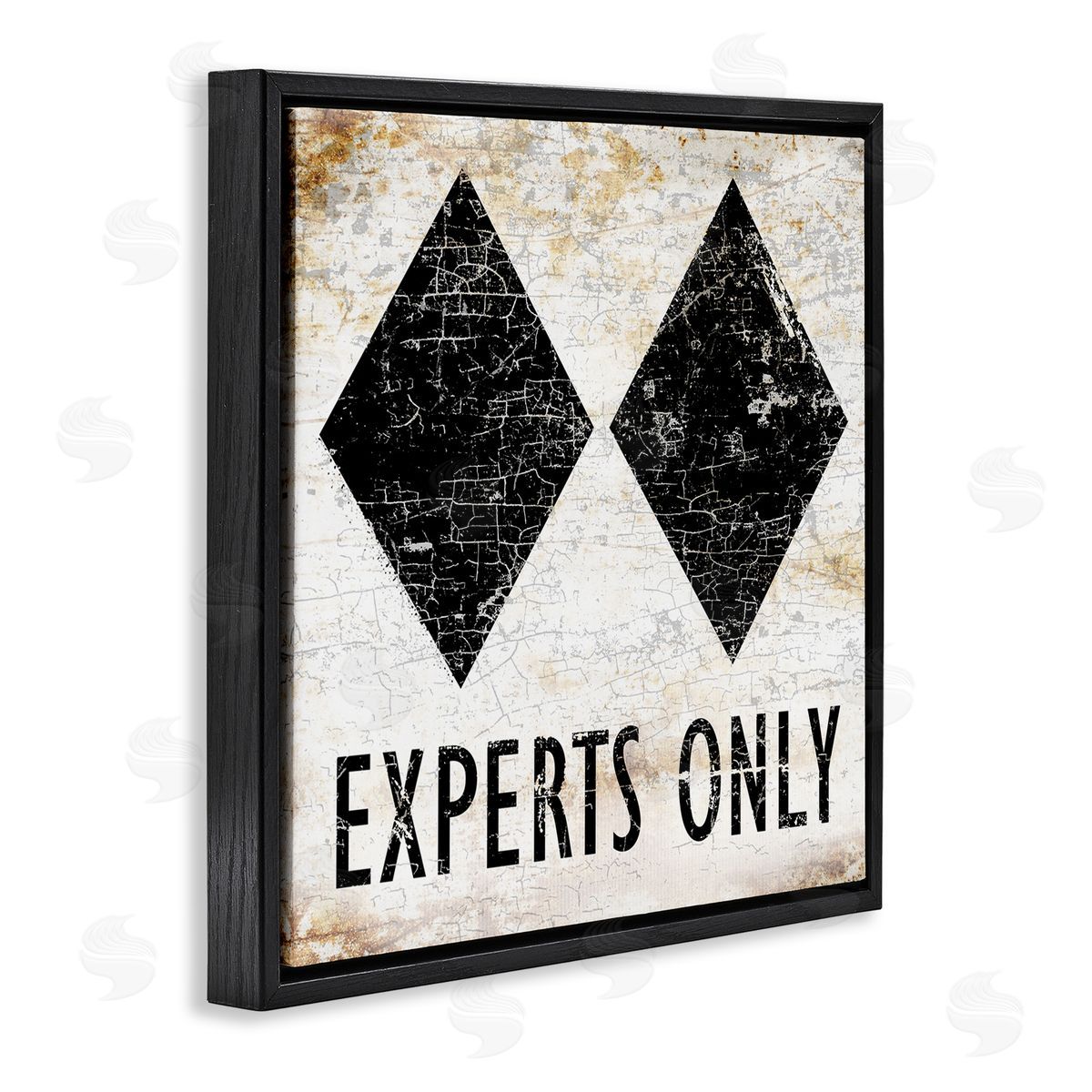 Peter Horjus Rustic Experts Only Skiing Black Floating Frame Canvas Wall Art Print