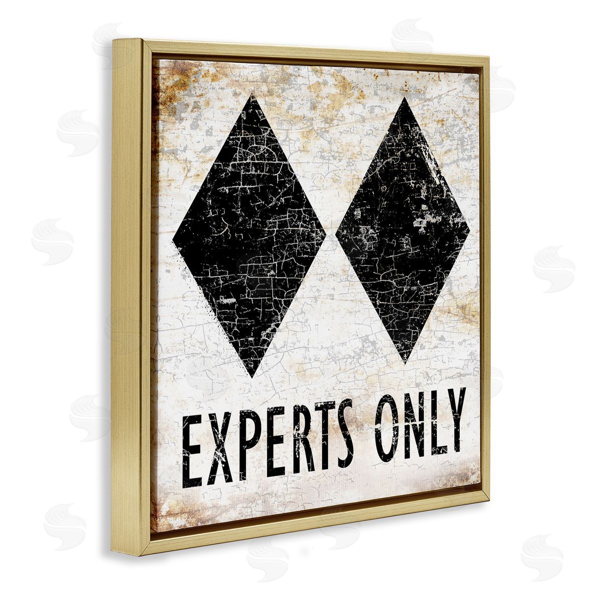 Peter Horjus Rustic Experts Only Skiing Gold Floating Frame Canvas Wall Art Print