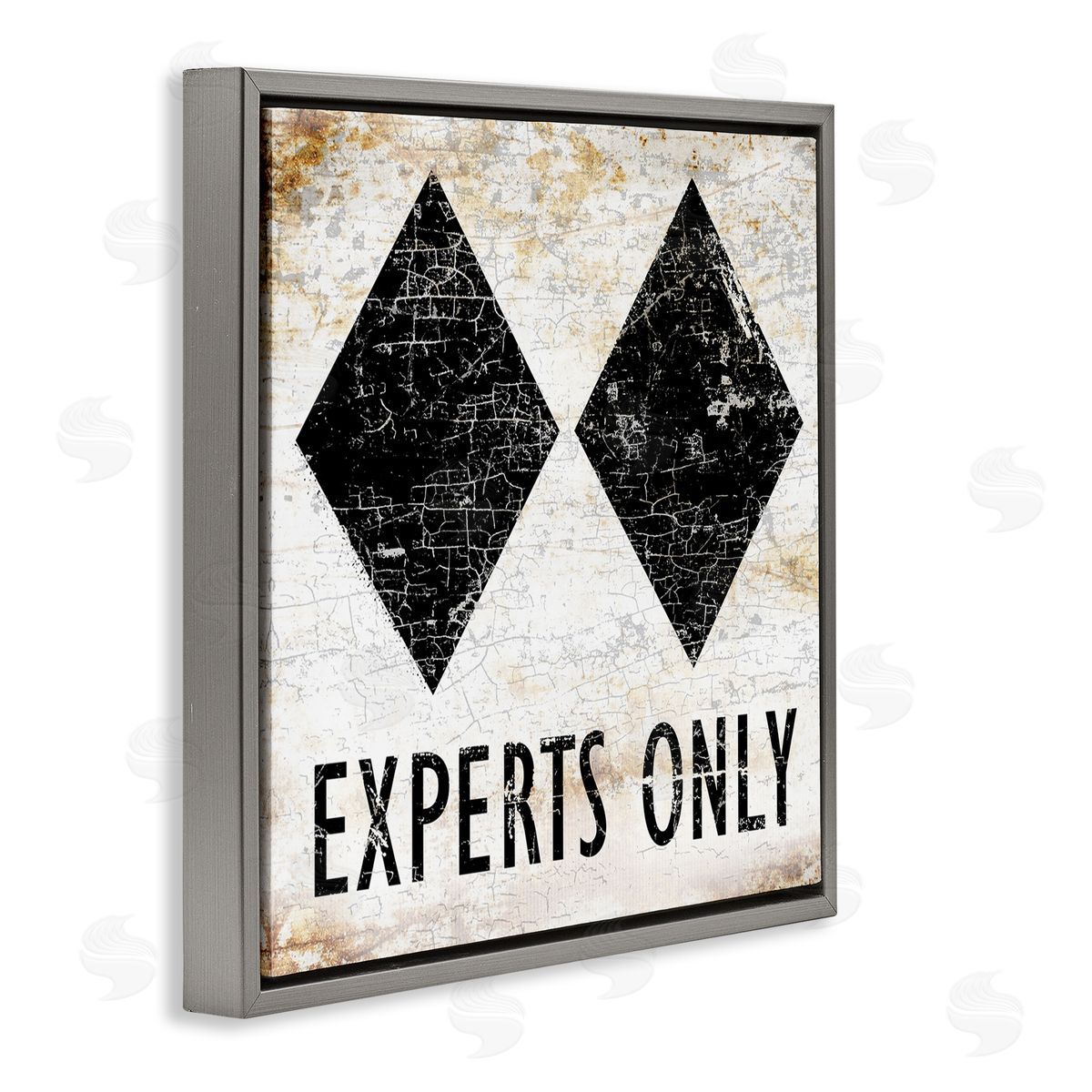 Peter Horjus Rustic Experts Only Skiing Gray Floating Frame Canvas Wall Art Print