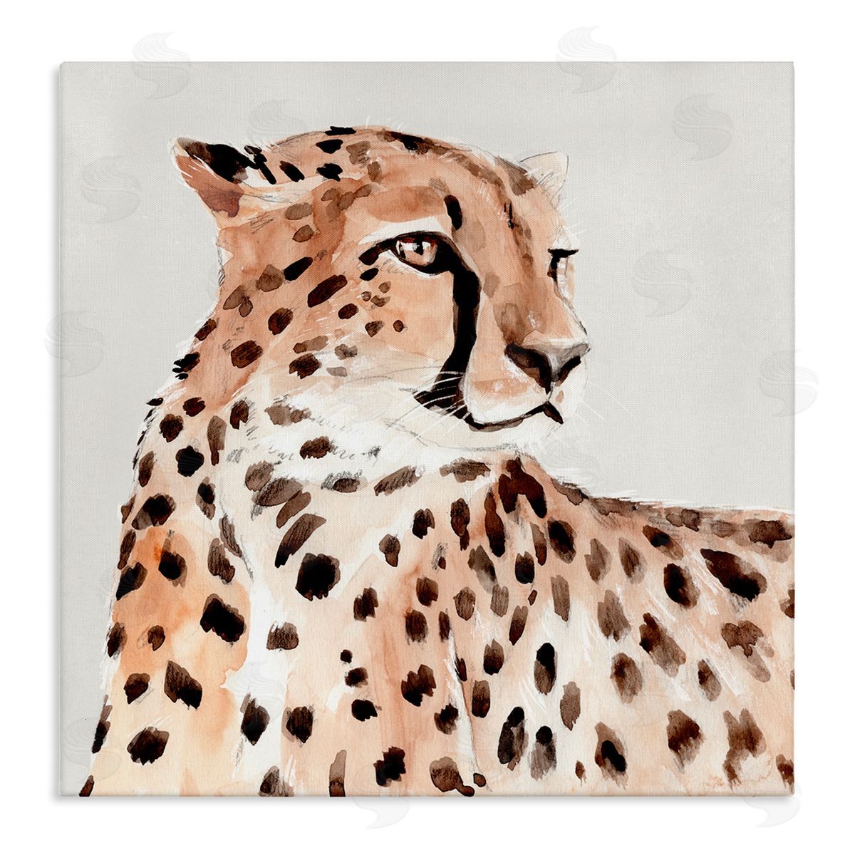 Annie Warren Cheetah Wildlife Portrait Stretched Canvas Wall Art Print