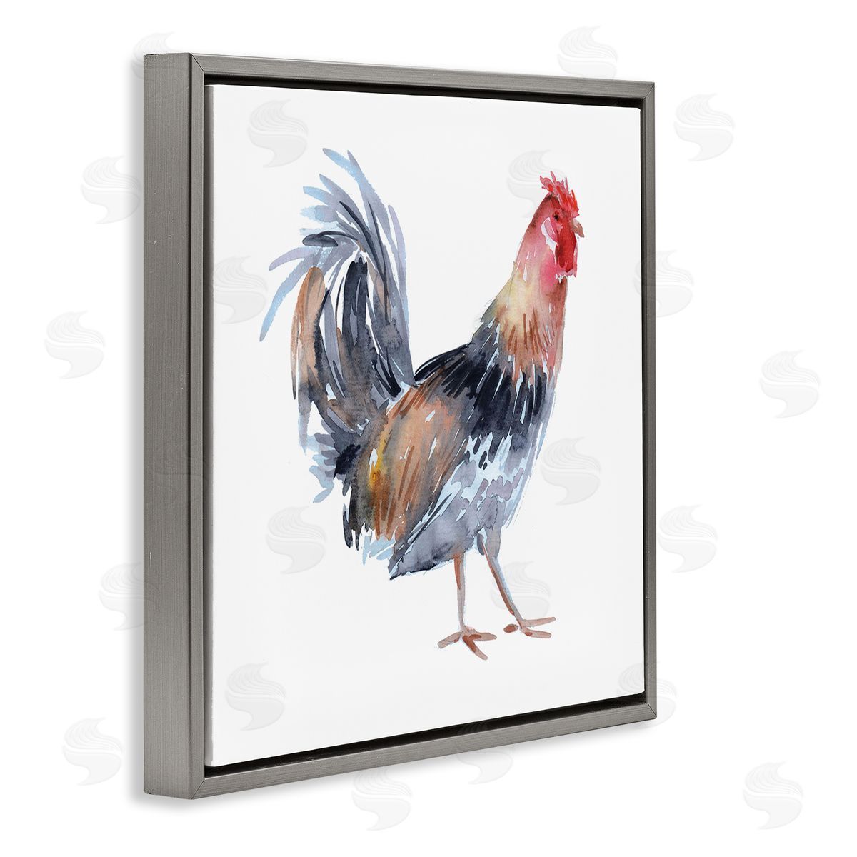 Claudia Bianchi Rooster Farm Animal Portrait Gray Floating Frame Canvas Wall Art Print