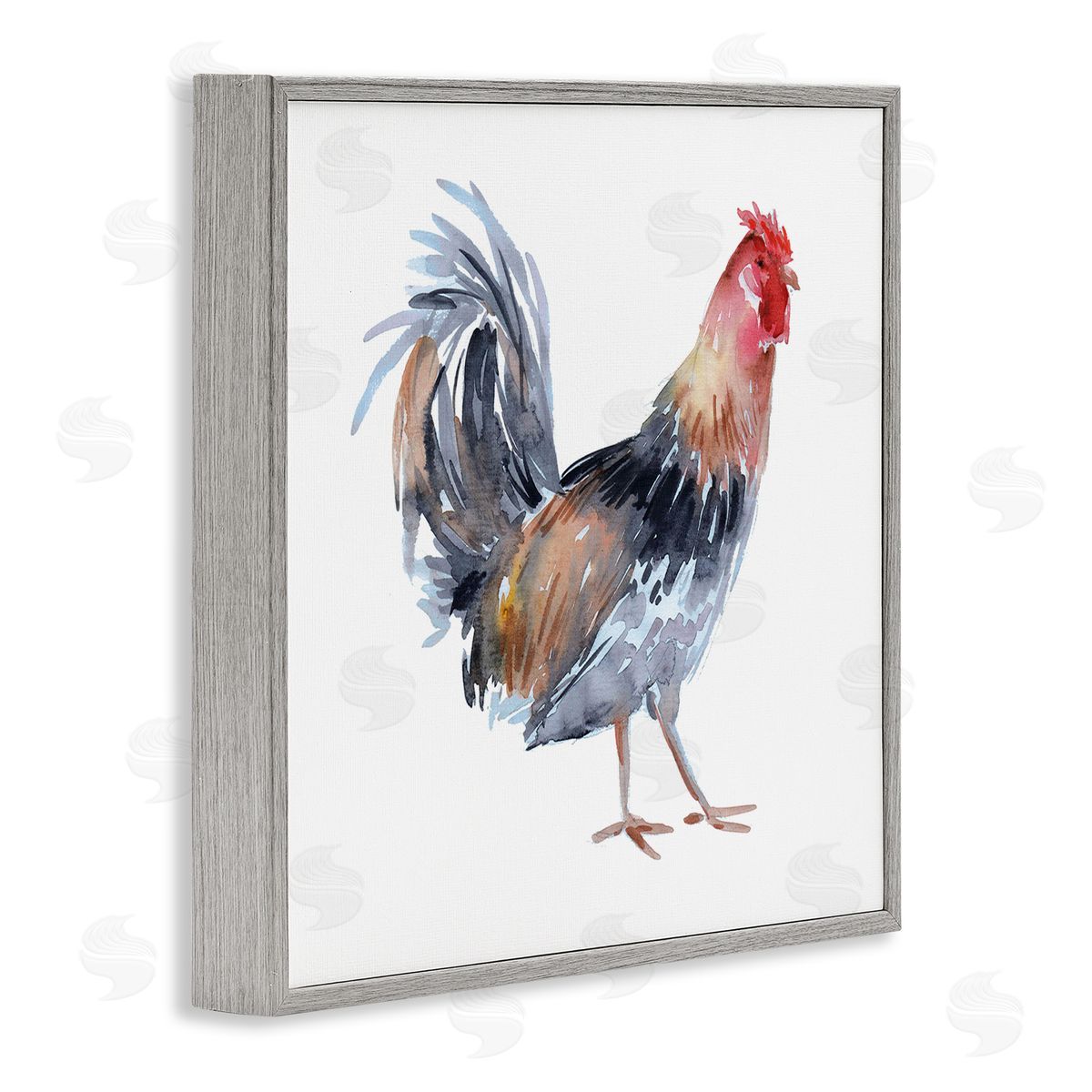 Claudia Bianchi Rooster Farm Animal Portrait Gray Framed Glicee Wall Art Print