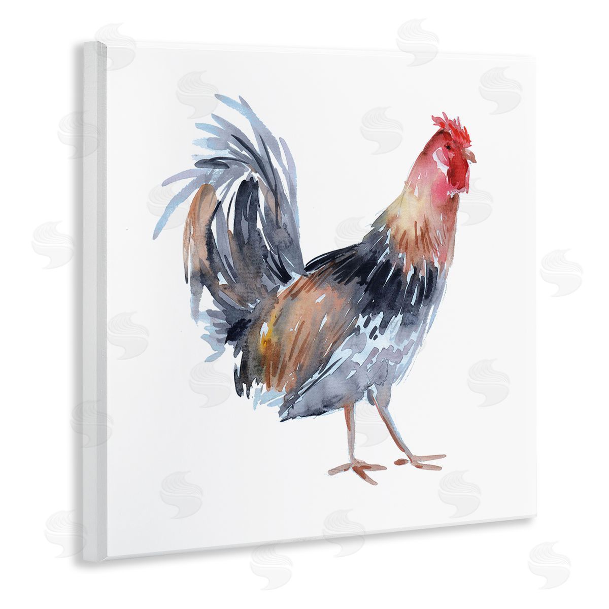 Claudia Bianchi Rooster Farm Animal Portrait Wooden Wall Plaque Art Print