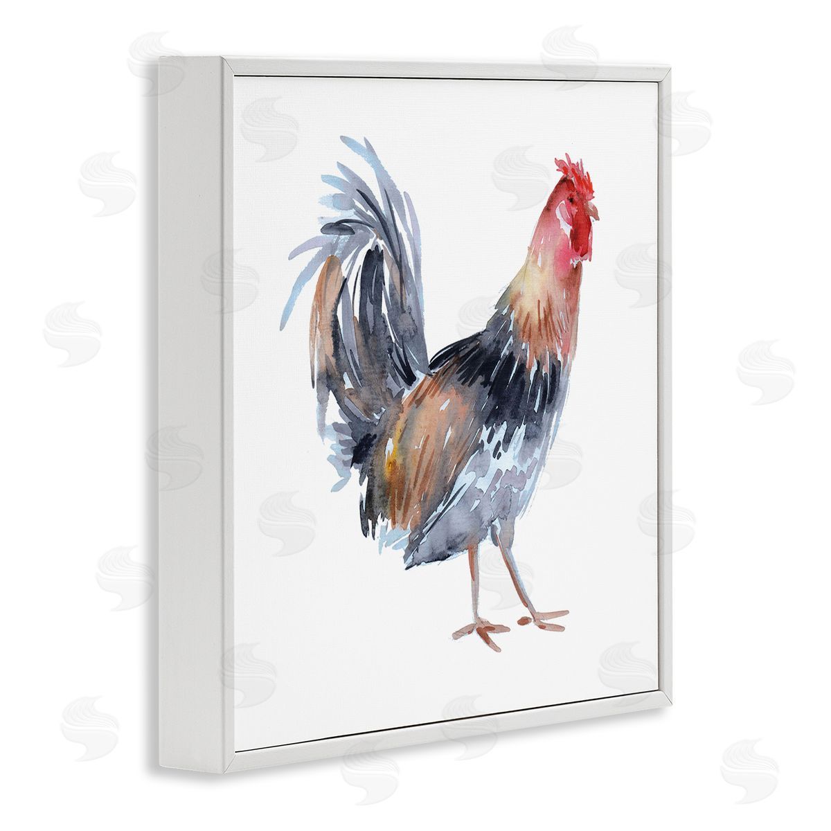 Claudia Bianchi Rooster Farm Animal Portrait White Framed Glicee Wall Art Print
