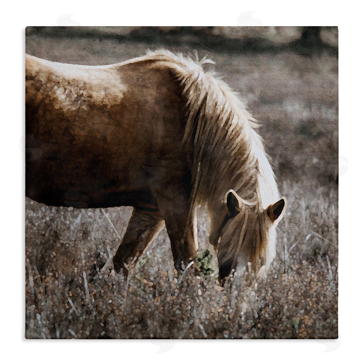LSR Design Studio Wild Horse Grazing Stretched Canvas Wall Art Print