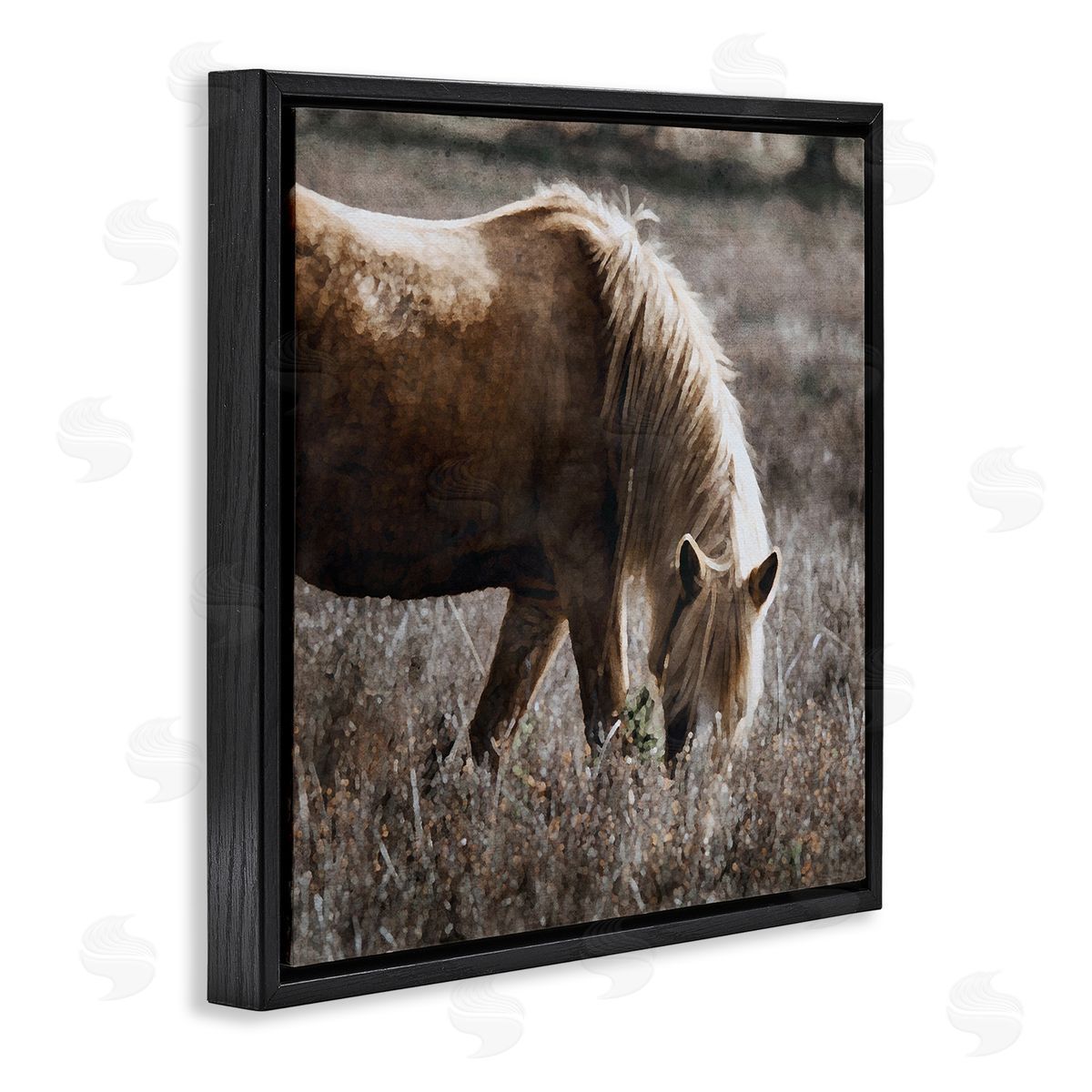 LSR Design Studio Wild Horse Grazing Black Floating Frame Canvas Wall Art Print