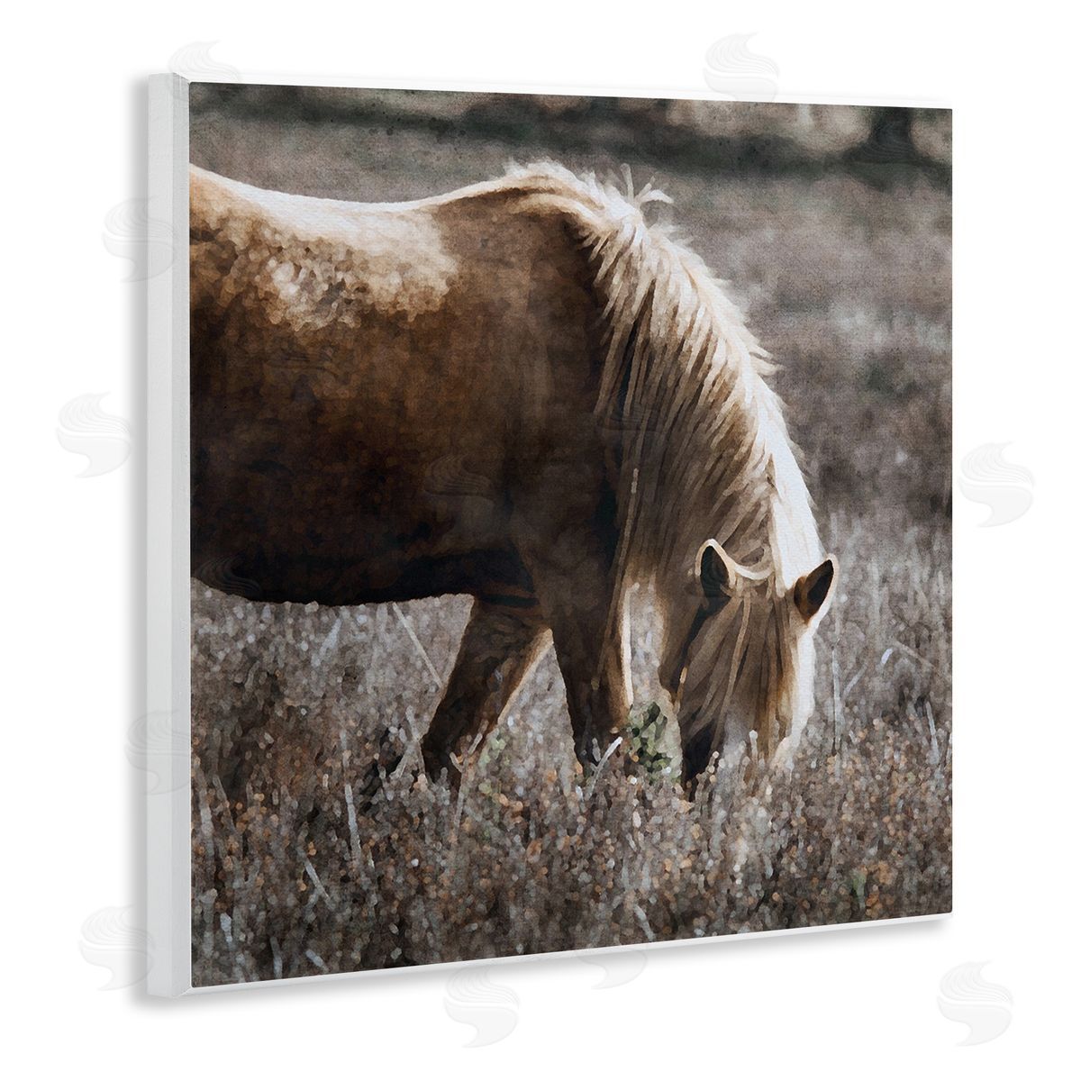 LSR Design Studio Wild Horse Grazing Wooden Wall Plaque Art Print