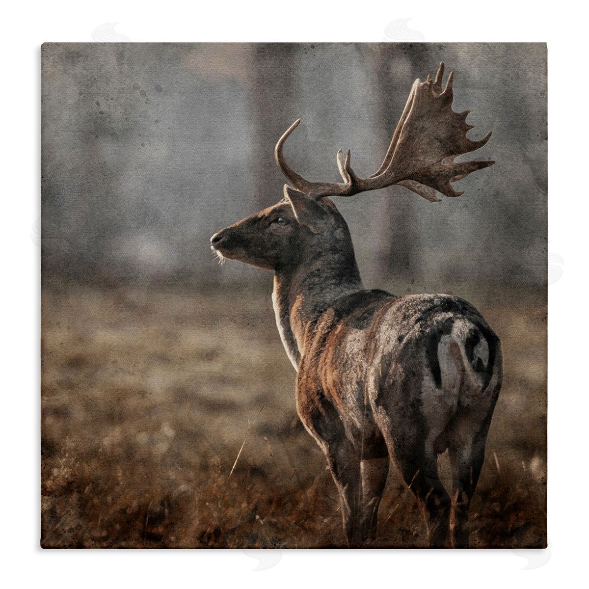 LSR Design Studio Moose in Woodland Scene Stretched Canvas Wall Art Print