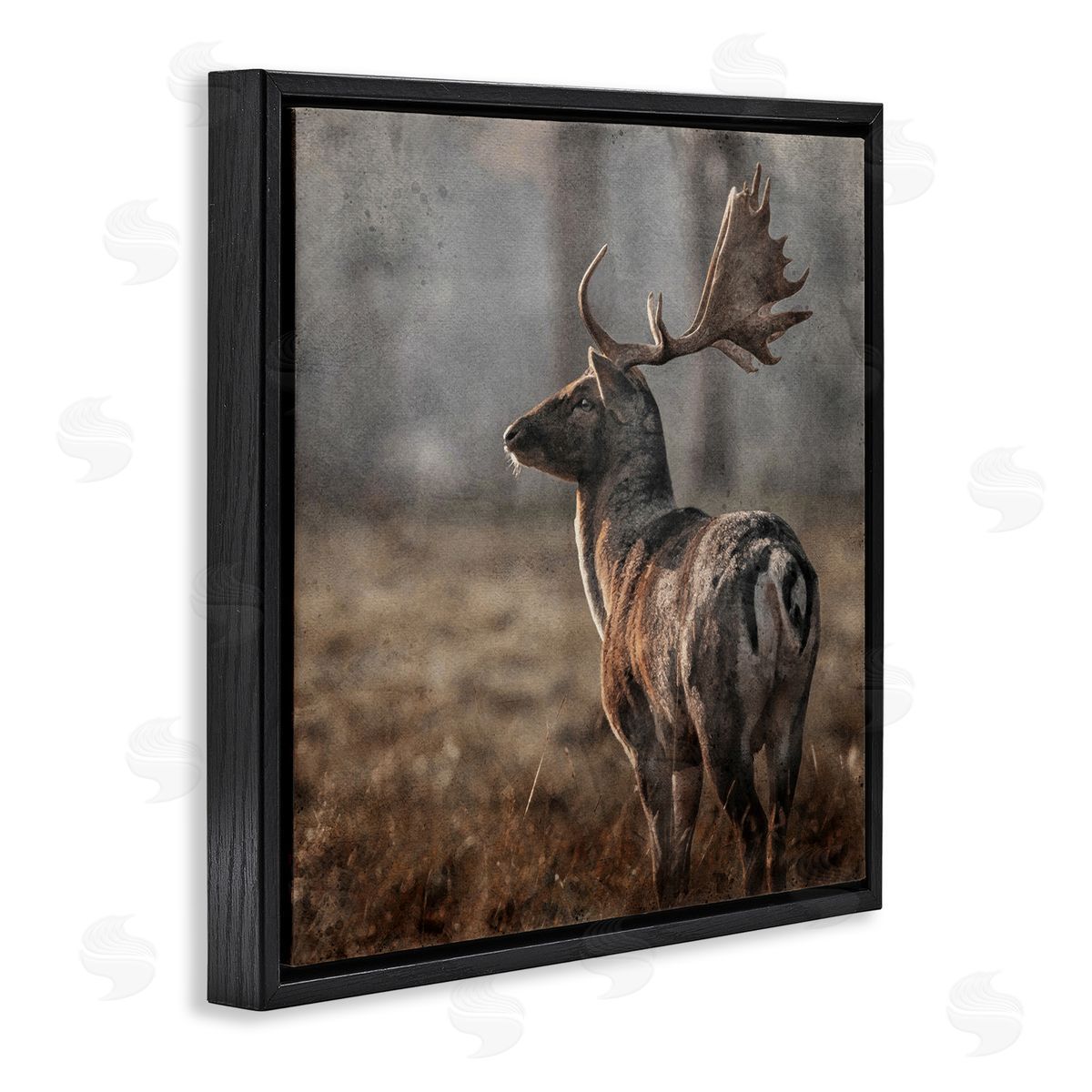 LSR Design Studio Moose in Woodland Scene Black Floating Frame Canvas Wall Art Print