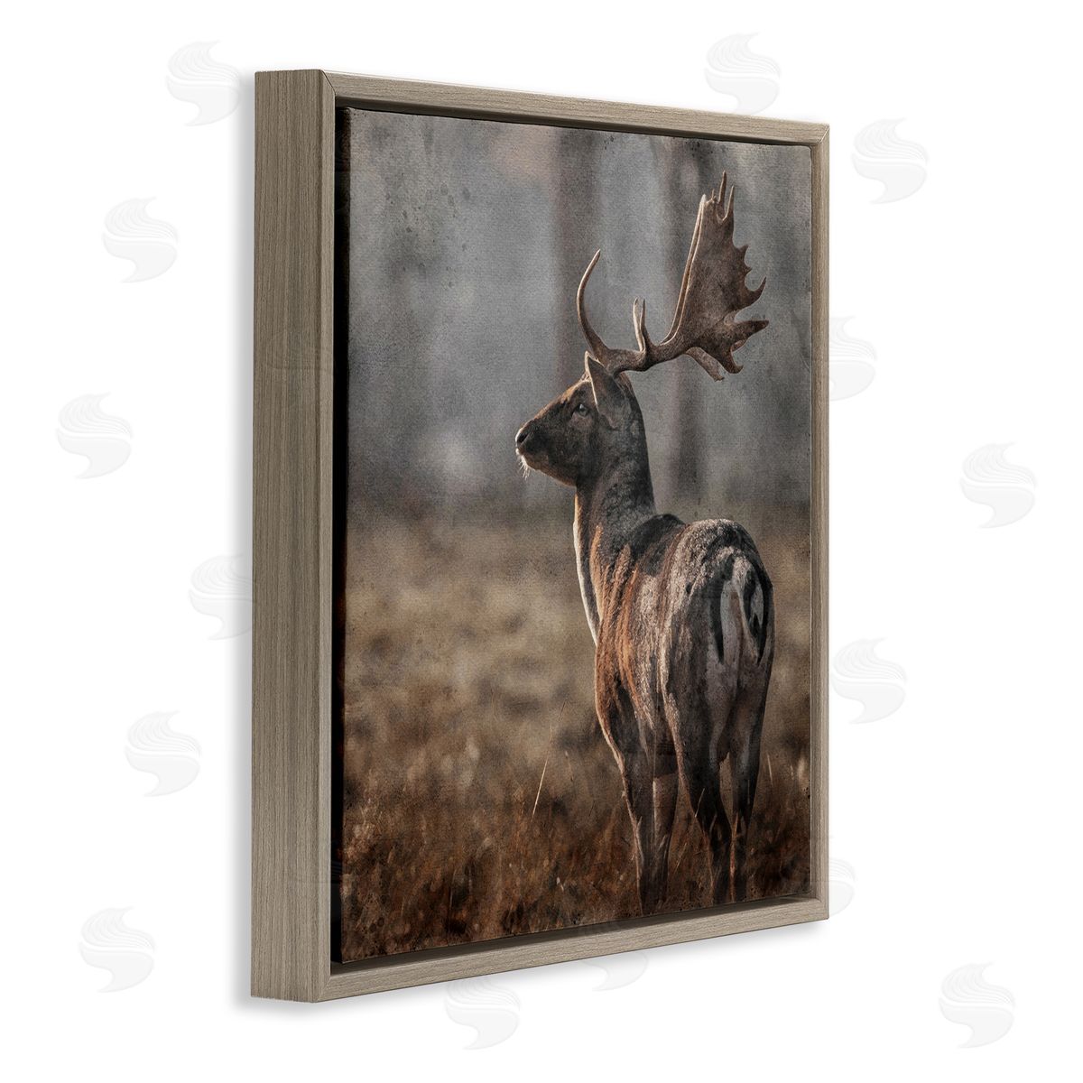 LSR Design Studio Moose in Woodland Scene Brown Floating Frame Canvas Wall Art Print