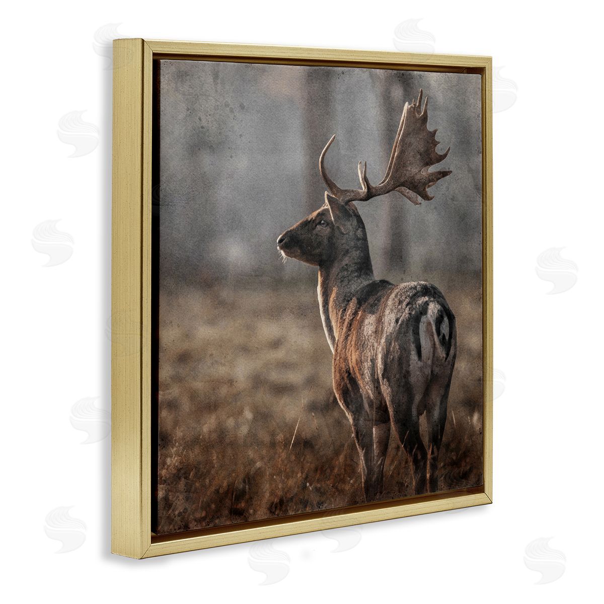 LSR Design Studio Moose in Woodland Scene Gold Floating Frame Canvas Wall Art Print
