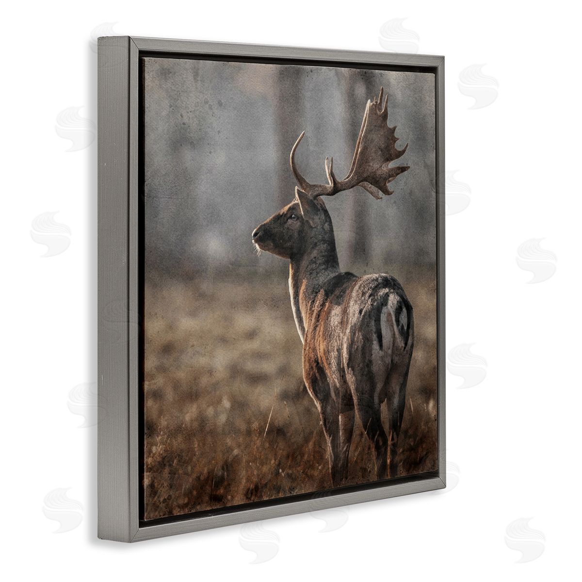 LSR Design Studio Moose in Woodland Scene Gray Floating Frame Canvas Wall Art Print