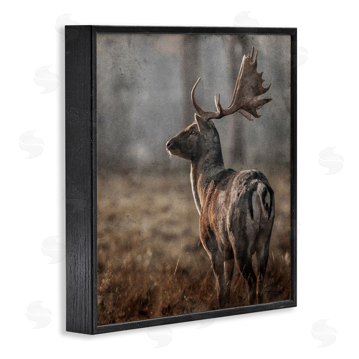 LSR Design Studio Moose in Woodland Scene Black Framed Glicee Wall Art Print