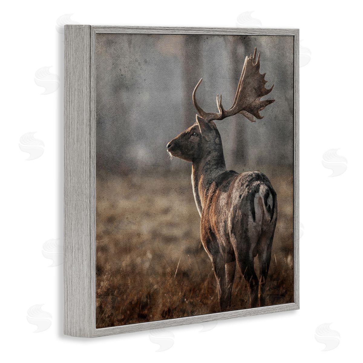 LSR Design Studio Moose in Woodland Scene Gray Framed Glicee Wall Art Print