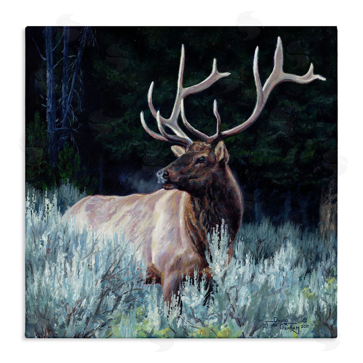 David Graham Elk in Forest Painting Stretched Canvas Wall Art Print