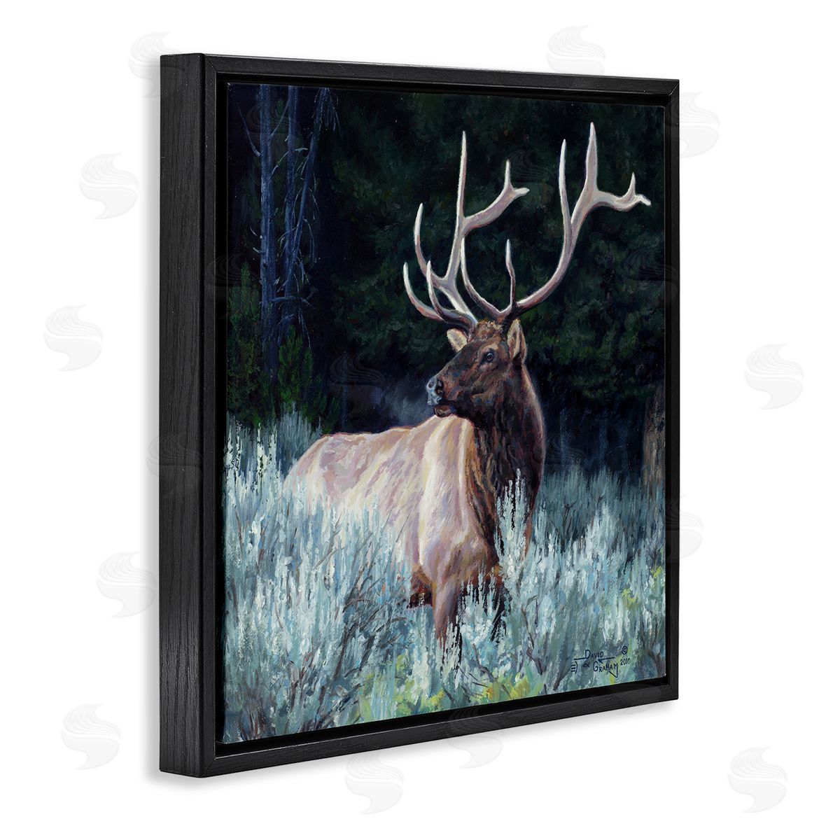 David Graham Elk in Forest Painting Black Floating Frame Canvas Wall Art Print