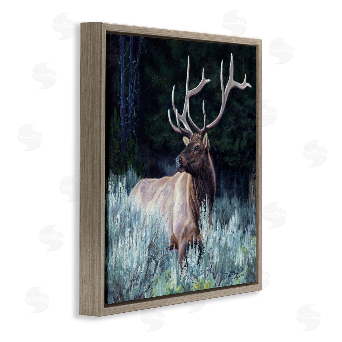 David Graham Elk in Forest Painting Brown Floating Frame Canvas Wall Art Print