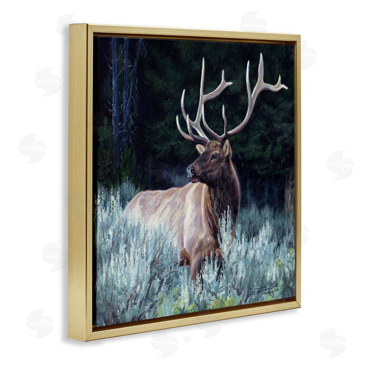 David Graham Elk in Forest Painting Gold Floating Frame Canvas Wall Art Print