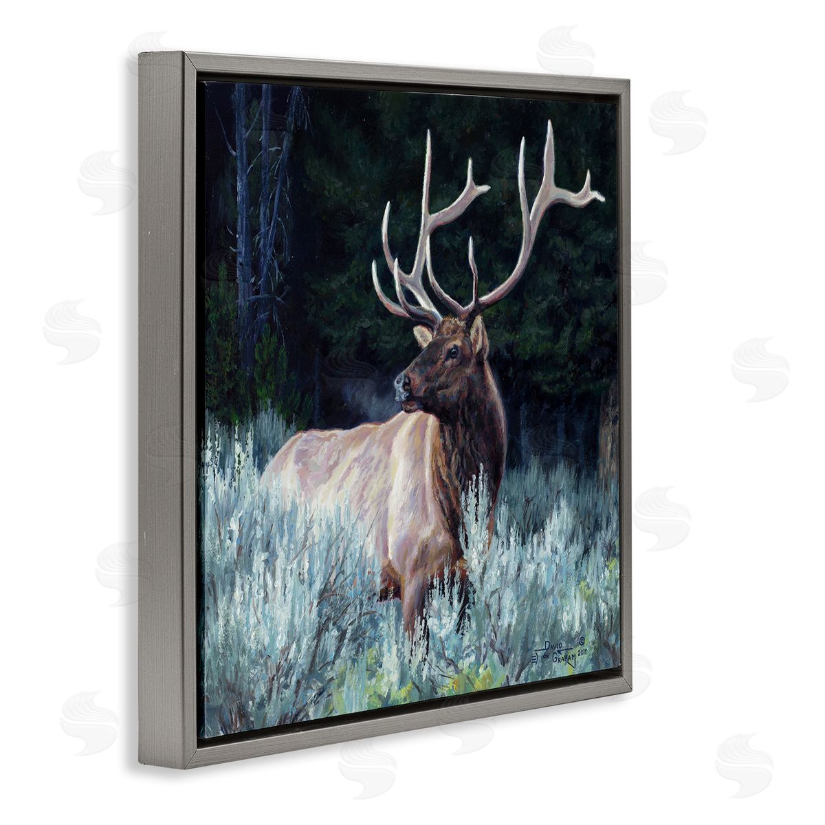 David Graham Elk in Forest Painting Gray Floating Frame Canvas Wall Art Print