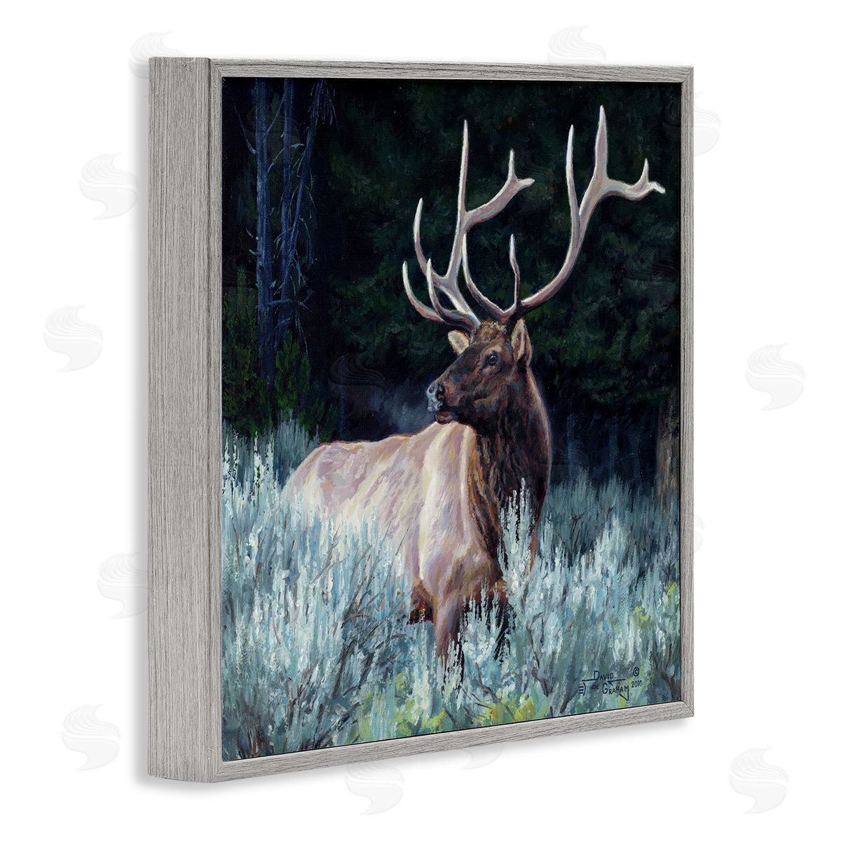 David Graham Elk in Forest Painting Gray Framed Glicee Wall Art Print