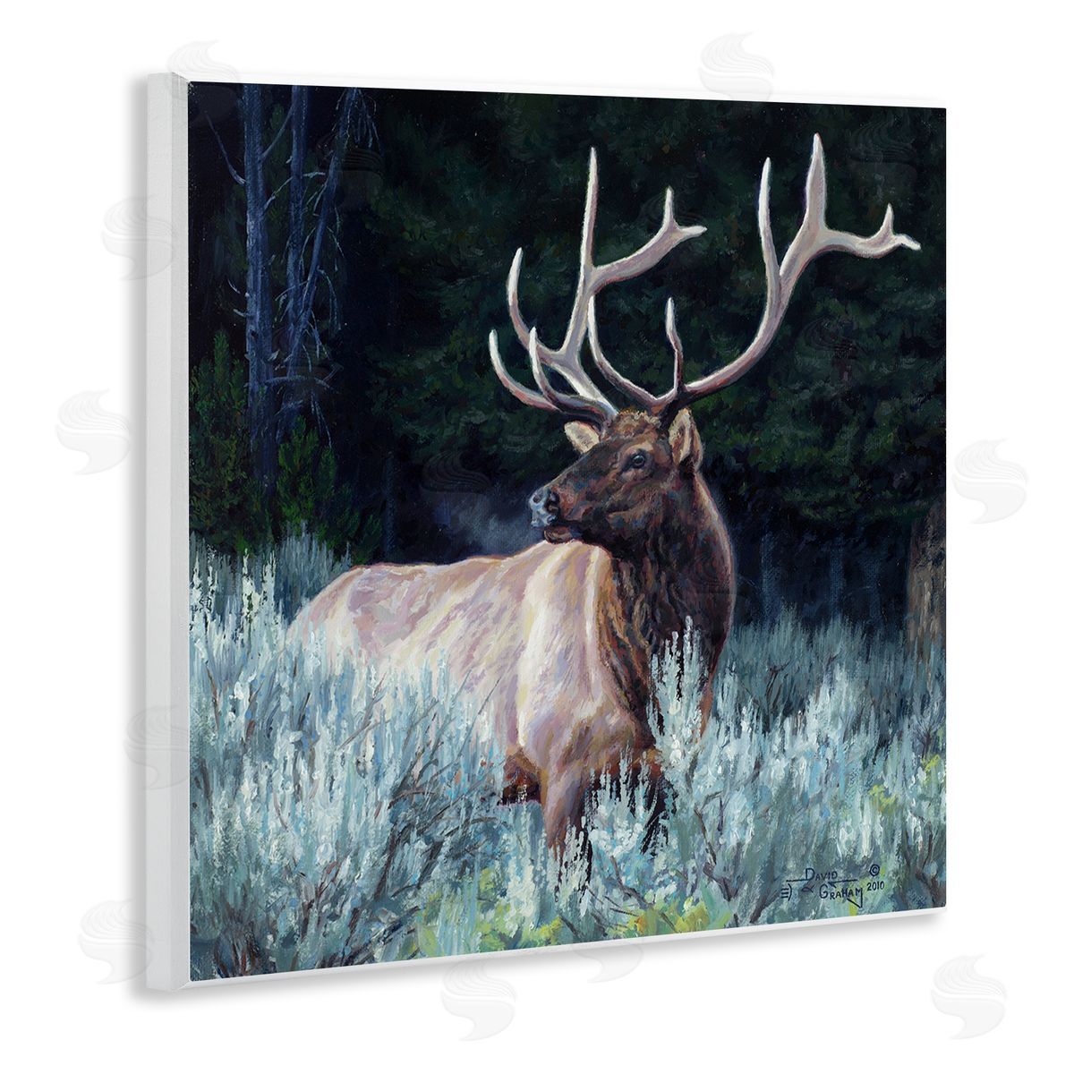 David Graham Elk in Forest Painting Wooden Wall Plaque Art Print