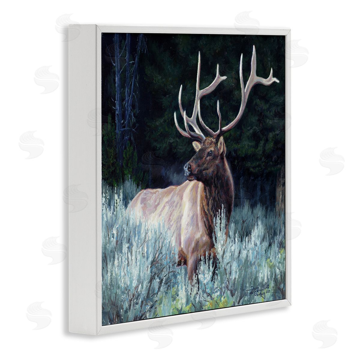David Graham Elk in Forest Painting White Framed Glicee Wall Art Print