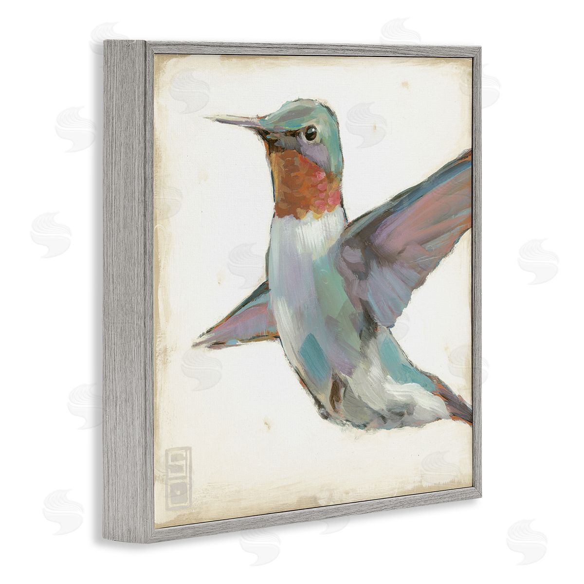 Stacy D'Aguiar Hummingbird in Flight Gray Framed Glicee Wall Art Print