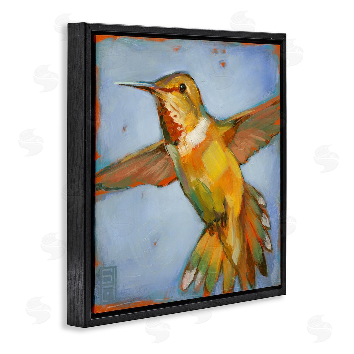 Stacy D'Aguiar Hummingbird on Blue Black Floating Frame Canvas Wall Art Print