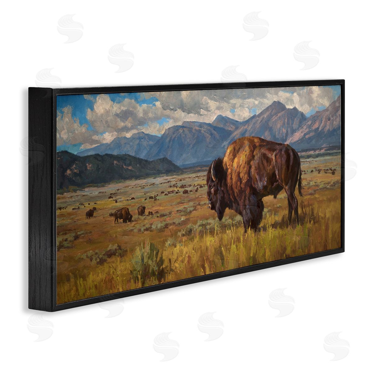 Chad Poppleton Bison Grazing in Valley