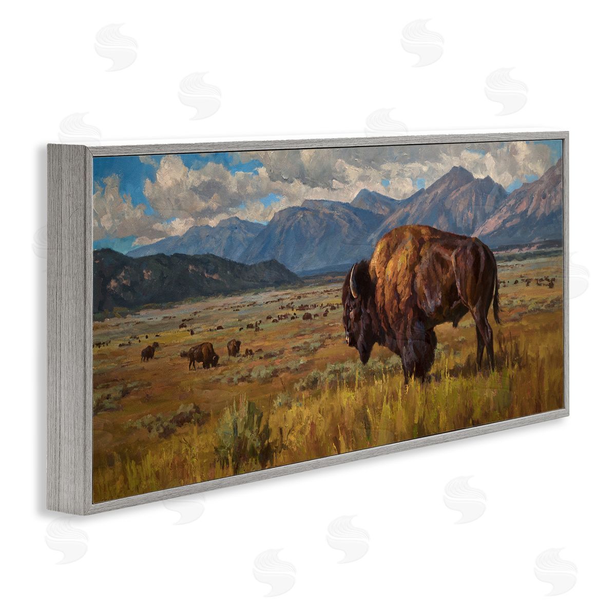 Chad Poppleton Bison Grazing in Valley