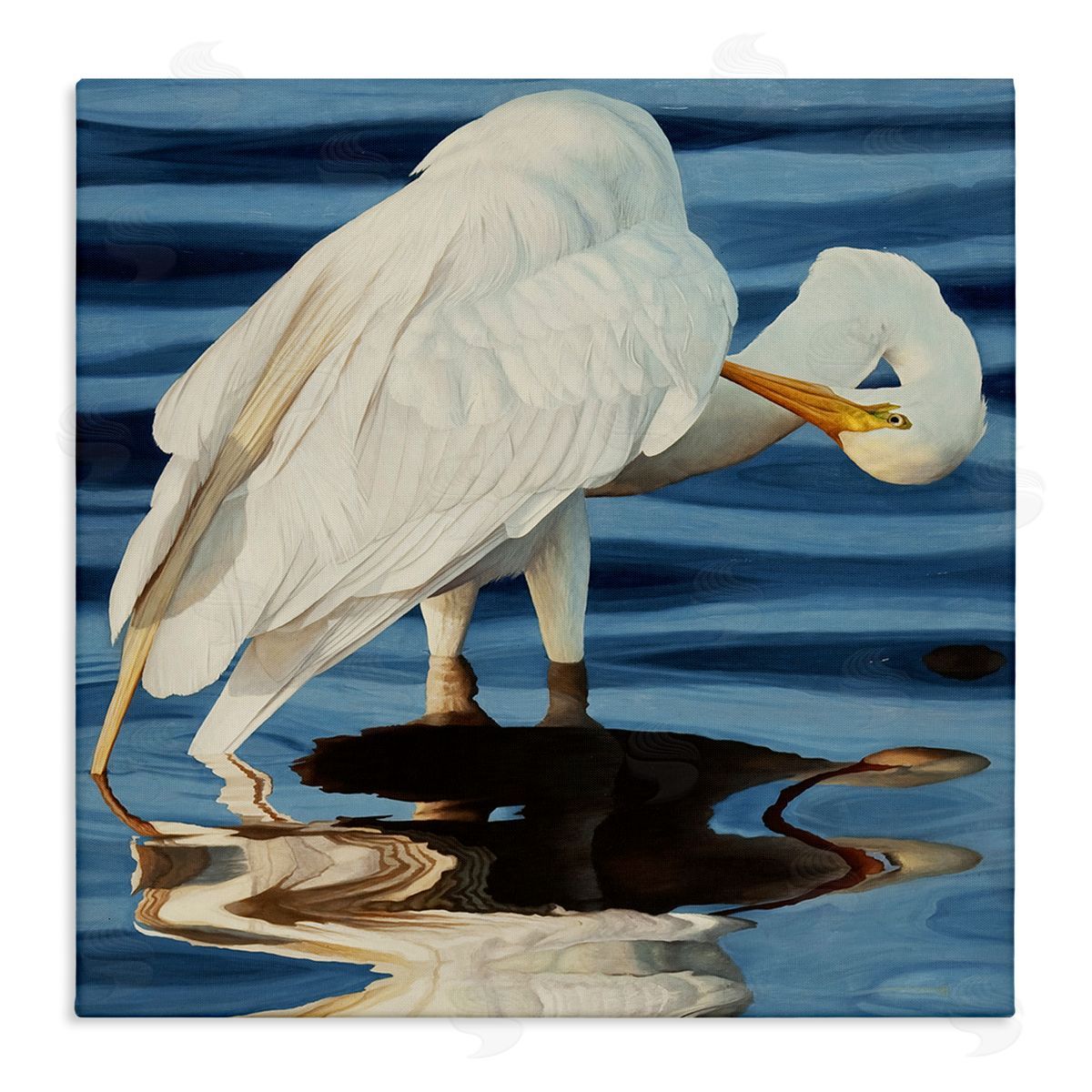 David Kiehm Crane Bird Preening  Stretched Canvas Wall Art Print