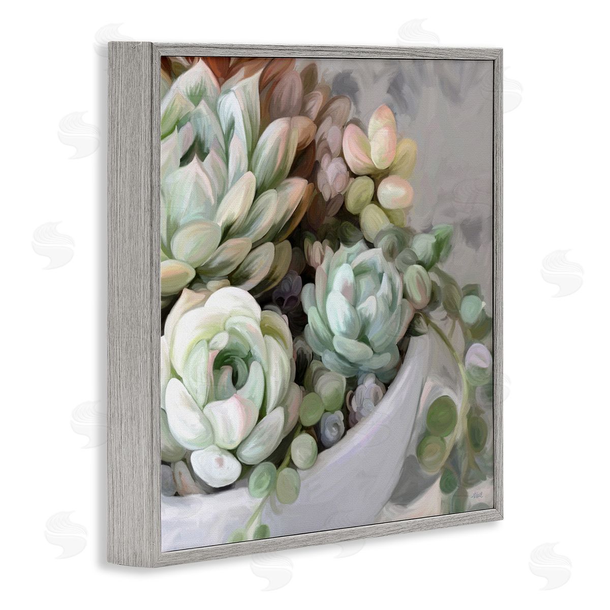 Amy Hall Succulent Plant Arrangement Gray Framed Glicee Wall Art Print