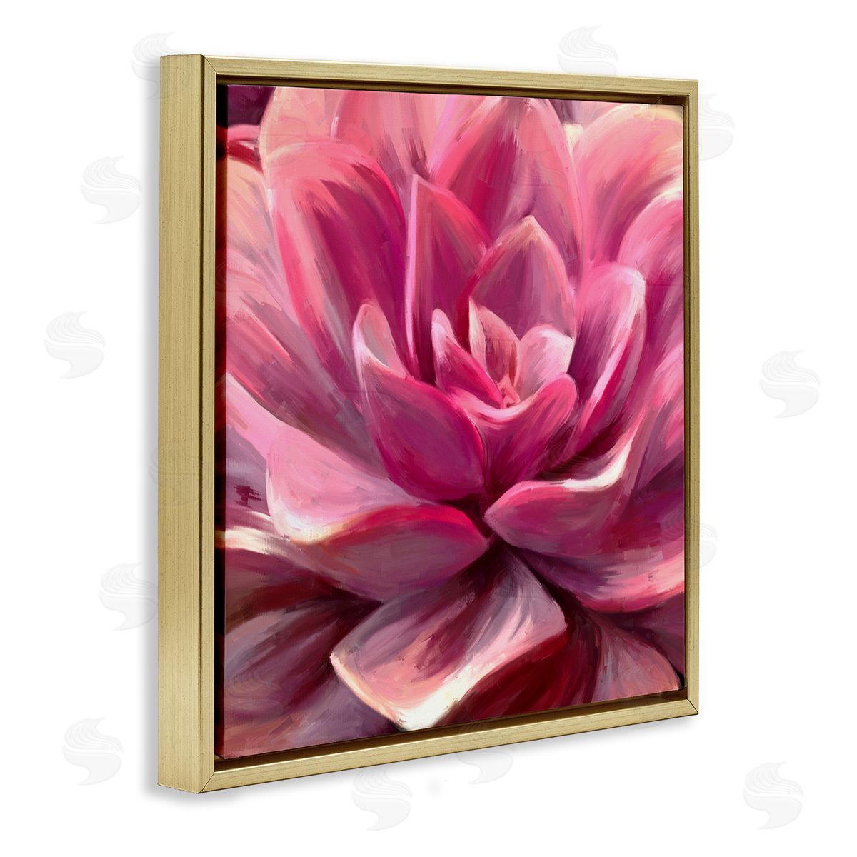 Amy Hall Pink Succulent Leaves Gold Floating Frame Canvas Wall Art Print